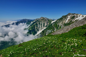 白馬岳