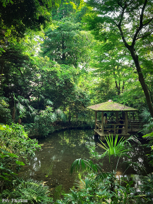 実篤公園と若葉の森