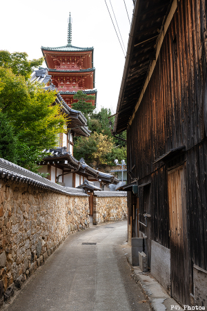 西光寺横の小路