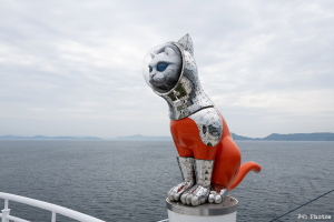 ジャンボフェリーあおいの甲板に乗った「SHIP’S CAT」