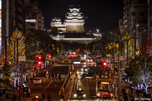 姫路駅から見る姫路城