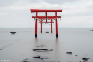 大魚神社海中鳥居